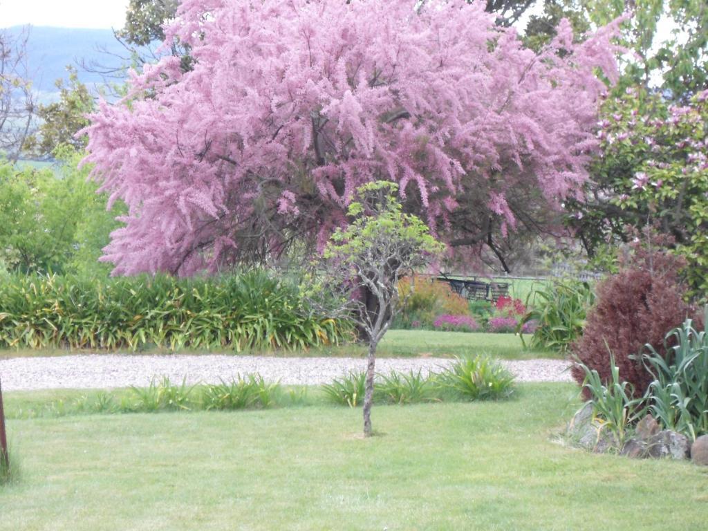 Bushy Park Roslyn House Bed & Breakfast מראה חיצוני תמונה