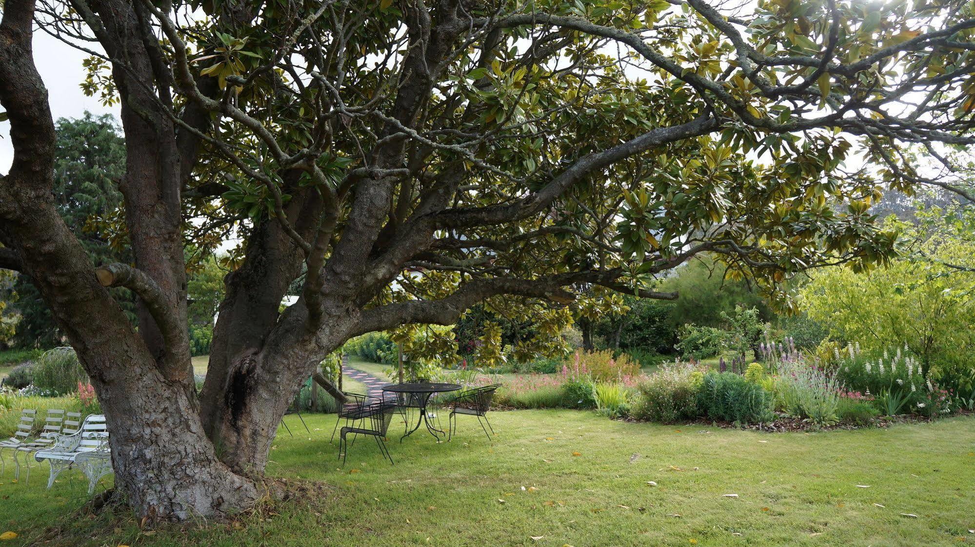 Bushy Park Roslyn House Bed & Breakfast מראה חיצוני תמונה