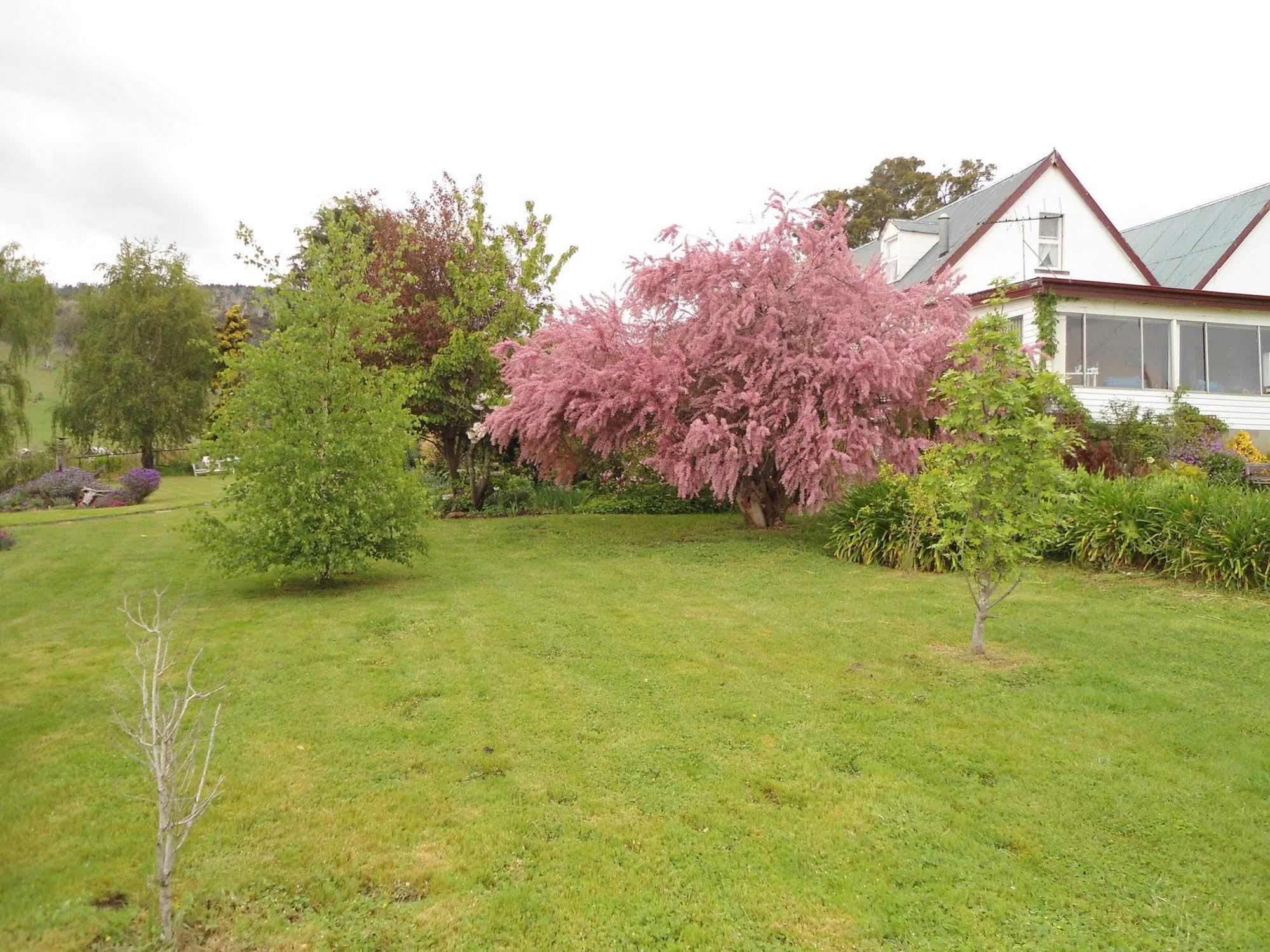 Bushy Park Roslyn House Bed & Breakfast מראה חיצוני תמונה